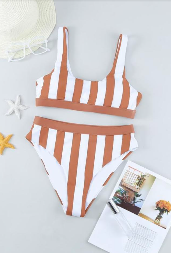 Brown/White Striped Swimsuit Bottom