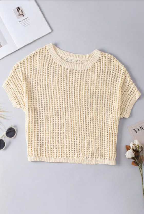 Ivory Fishnet Knit Ribbed Round Neck Short Sleeve Sweater Tee